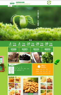 [B246-1] 农家乐-农产品类、食品、茶叶等行业专用旺铺专业版模板