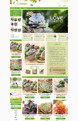 基础班:肉多多的小花园-多肉植物、园林、盆栽行业通用旺铺专业版模板